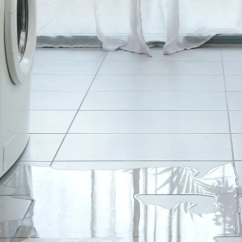 Appliance Leak Cleanup in Alfred, NY