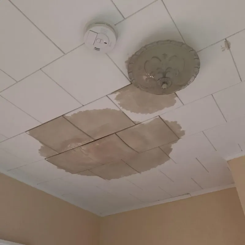 Ceiling Water Damage Repair in Alfred, NY
